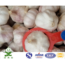 Normal White Garlic 6.0cm New Crop Products